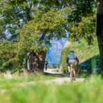 Bike, Blauburgunderweg, Fleimstalbahn, Fleimstaler Bahntrasse, Fleimstalerbahn, Rad, Rad fahren, Radweg, Themenweg