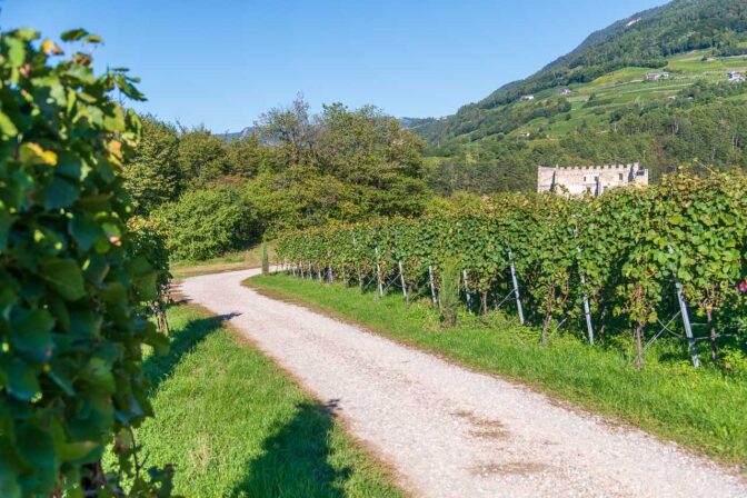 Zurück vorbei an der Burgruine Kaldiff