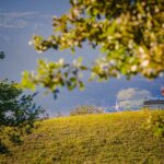 Herbst, Termeno, Tramin, autumn, autunno