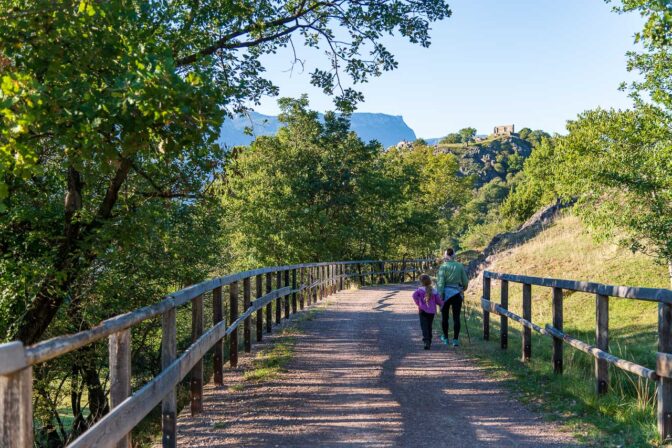 Der Blauburgunderweg führt mitten durch das Biotop Castelfeder