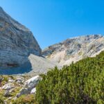 Baum, Berg, Holz, Klippe, Natur, Pflanze, Wald