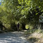 Weinlehrpfad Kurtatsch