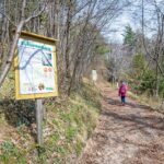 Bienenstand, wandern