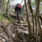 Stufen, Wanderweg, sentiero, wandern