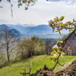 Ausblick Bozen, Bittner