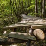 Bikepark im Wald zwischen Girlan und Sigmundskron