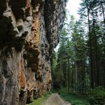 Schlucht im Val di Non