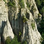 Wanderung zu den Muthöfen bei Meran