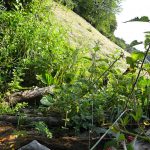 Wanderung zu den Muthöfen bei Meran