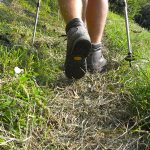 Wanderung zu den Muthöfen bei Meran