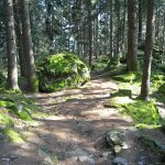 Wanderung zu den Muthöfen bei Meran