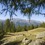 Bergkulisse bei der Rundwanderung Vernatsch/Katharinaberg