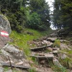 Wanderung zur Laugenspitze