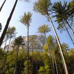 Wandern am Gantkofel in Südtirol