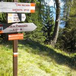 Wandern am Gantkofel in Südtirol