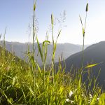 Bergkulisse bei der Rundwanderung Vernatsch/Katharinaberg