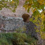 Greifenstein, Sauschloss