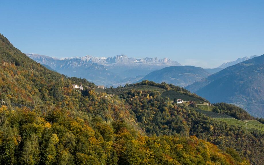 Catinaccio, Glaning, Herbst, Rosengarten, Rosengartengruppe, autumn, autunno