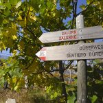 Wanderung Salurn Haderburg Buchholz