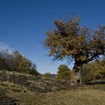 Unterwegs im Biotop Castelfeder