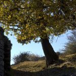 Unterwegs im Biotop Castelfeder