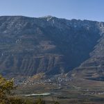 Tramin mit dem Roen im Hintergrund