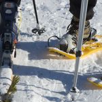 Schneeschuhwandern in Reinswald