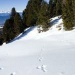 Schneeschuhwanderung Radein Jochgrimm