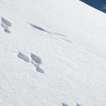 Schneeschuhwanderung Radein Jochgrimm