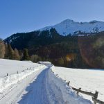 Schwarzhorn