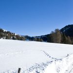 Schwarzhorn