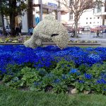 Blumenschmuck in der Kurstadt Meran in Südtirol