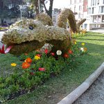 Fleißige Gärtner haben einmal mehr die Kurpromenade von Meran phantasievoll gestaltet