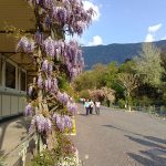 Die Winterseite der Passerpromenade in Meran mit der Wandelhalle