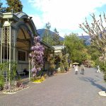 Die Winterseite der Passerpromenade in Meran mit der Wandelhalle