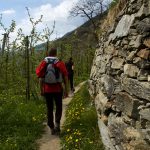 Ils Waalweg und Sonnenpromenade Schlanders