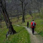 Ils Waalweg und Sonnenpromenade Schlanders