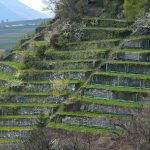 Sonnenpromenade Schlanders und Wanderweg Vetzan