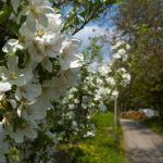 Wanderung Tisens