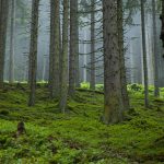 Wandern rund um Zell am See