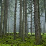 Wandern rund um Zell am See