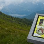 Wandern rund um Zell am See