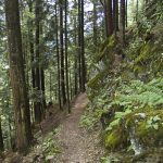 Wanderung rund um den Aussichtsberg Penken