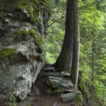 Wanderung rund um den Aussichtsberg Penken