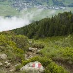 Von der Maiskogelalm zum Alpincenter am Kitzsteinhorn