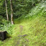 Seerundwanderweg um den Zeller See