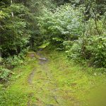 Seerundwanderweg um den Zeller See