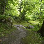 Seerundwanderweg um den Zeller See