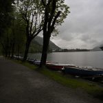 Der Zeller See und sein Rundwanderweg