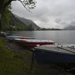 Der Zeller See und sein Rundwanderweg